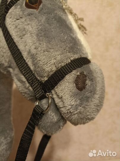 Конь на палочке, хобби хорс