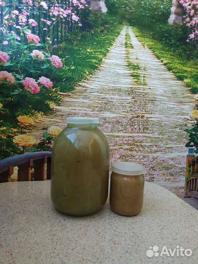 Гречишный, липовый мёд, перга 2023