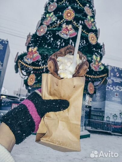 3 янв 24 Новогодние огни Петербурга 3м цо3068