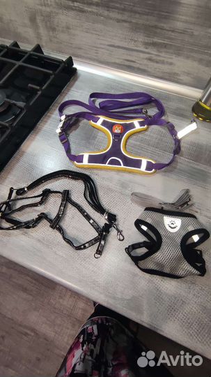 Шлейка для собаки