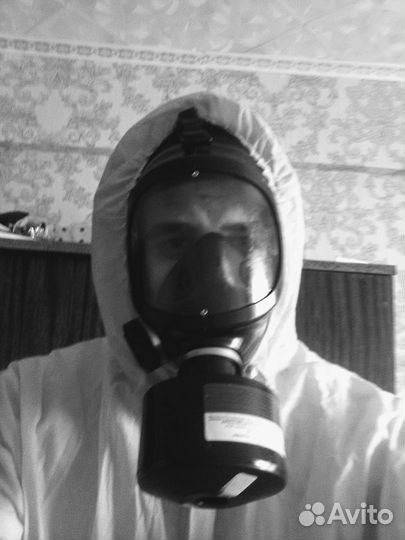 Уничтожение клопов тараканов блох клещей мышей