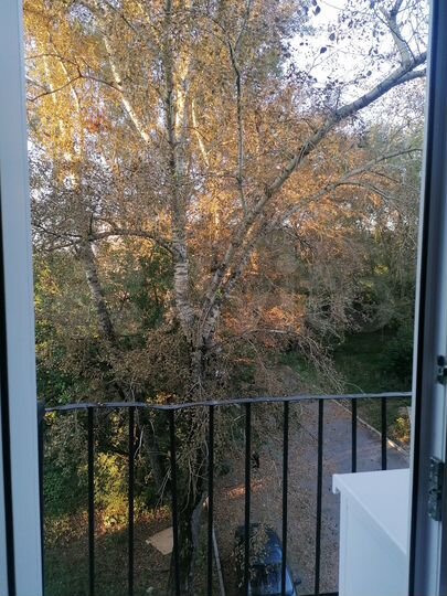 Комната 17,4 м² в 5-к., 4/5 эт.