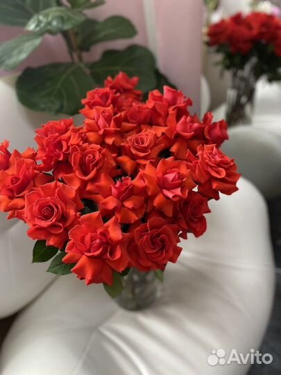 Французкие розы доставка цветов