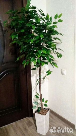 Искусственное дерево