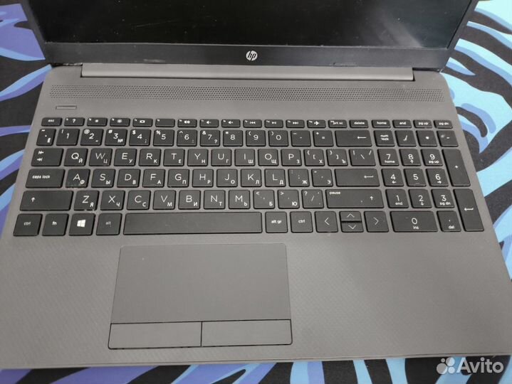 Hp 250 g8