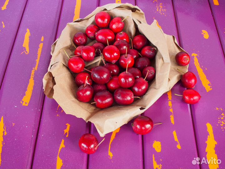 Фотофон деревянный handmade