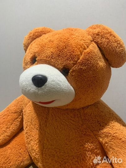 Плюшевый медведь