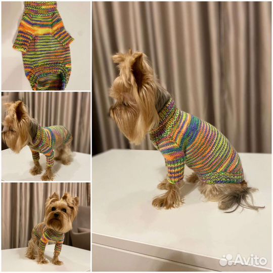 Одежда для собак