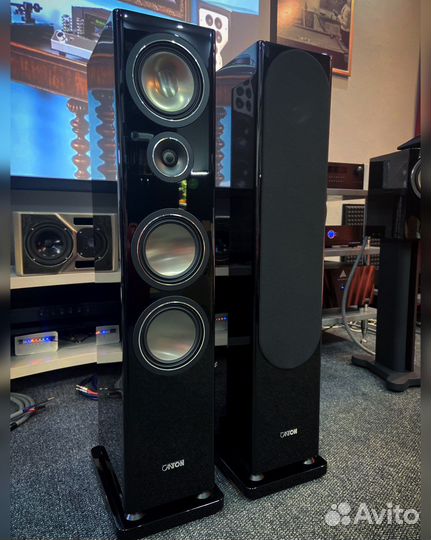 Canton Townus 90 все цвета