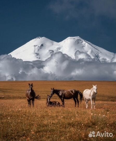 Тур поездки