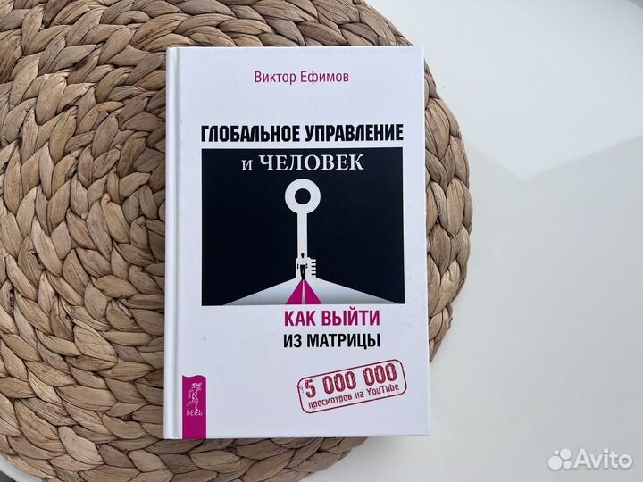 Глобальное управление и человек. Виктор Ефимов