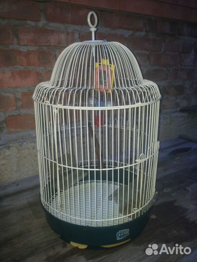 Клетка для попугая
