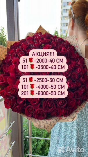 51 роза, 101 роза