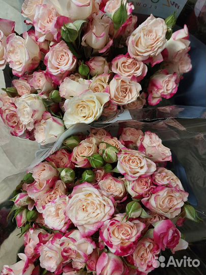 Кустовые розы оптом