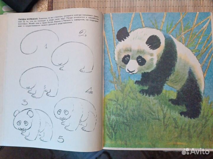 Альбом для раскрашивания СССР