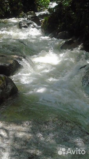 Прошлые жизни детей: 2 бесплатных консультации