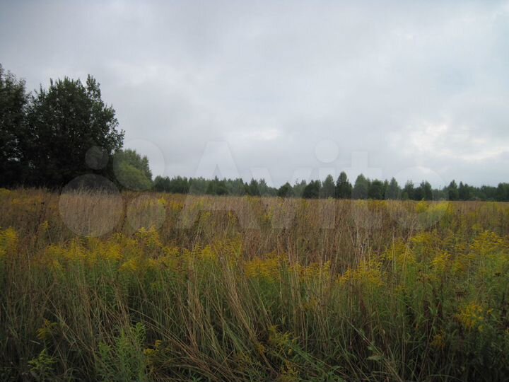 Участок 3,4 га (СНТ, ДНП)