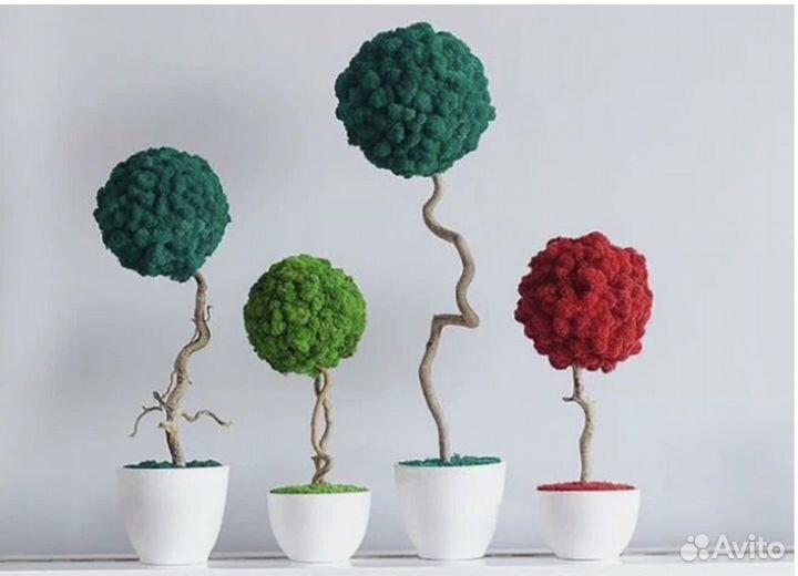 Дерево топиарий из стабилизированного мха ягеля