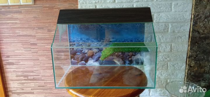 Аквариум для черепах