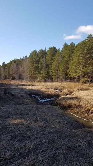 Участок 50 сот. (ИЖС)