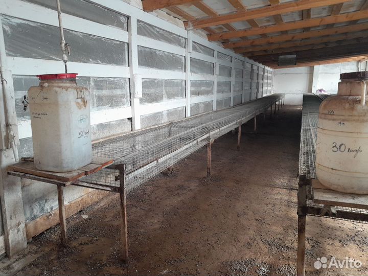 Клетка для кролика