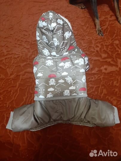 Комбинезон для маленькой собаки