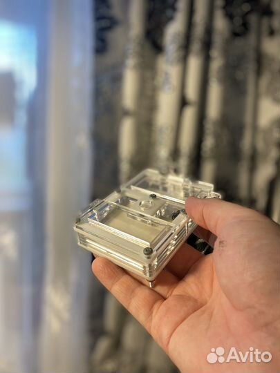 Муравьиная ферма с муравьями