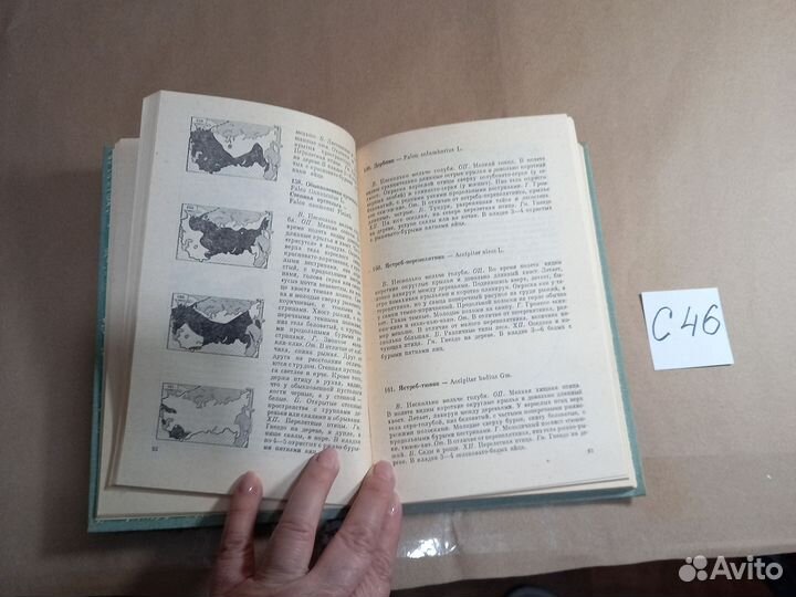 Птицы лесов и гор СССР. Полевой определитель Кузне