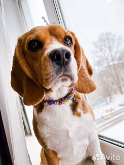 Адресник с бусинами