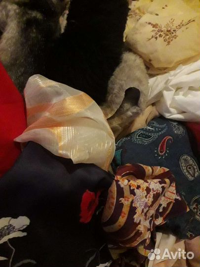 Отдам лоскуты меха иск. И отрезы тканей