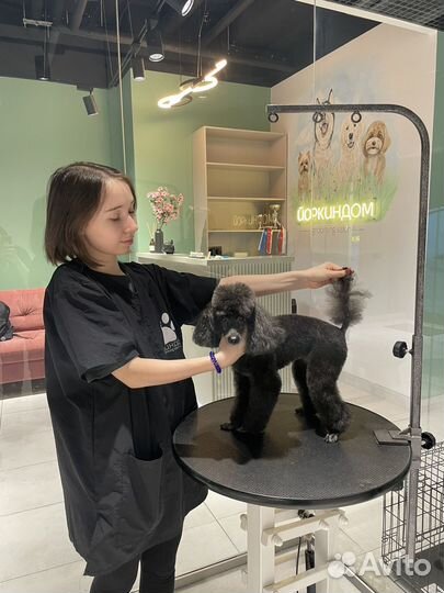 Модель на груминг