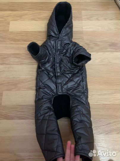 Комбинезоны для маленькой собаки