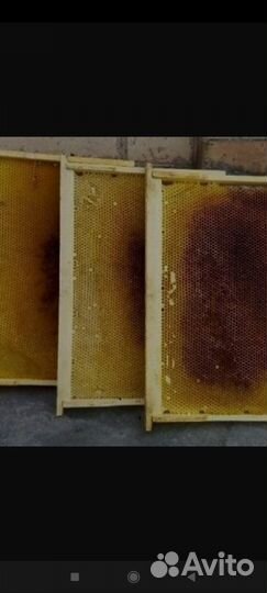 Сушь для пчел,рамки и пчелы