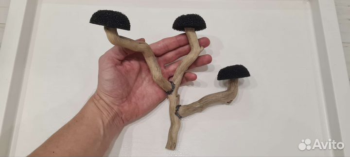 Дерево для мха в аквариуме, коряга