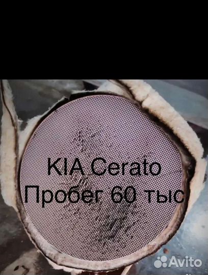 Удалить катализатор с доплатой