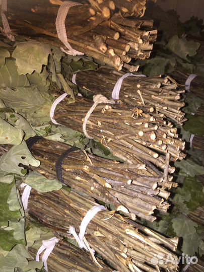 Дубовые Веники