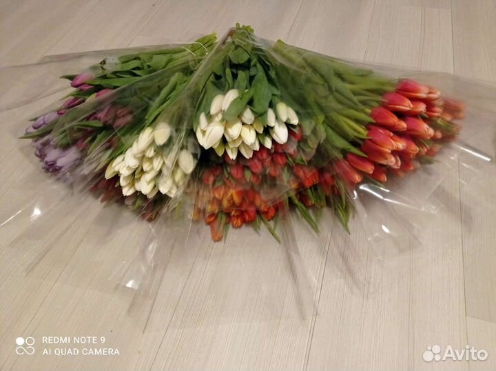 Цветы тюльпаны