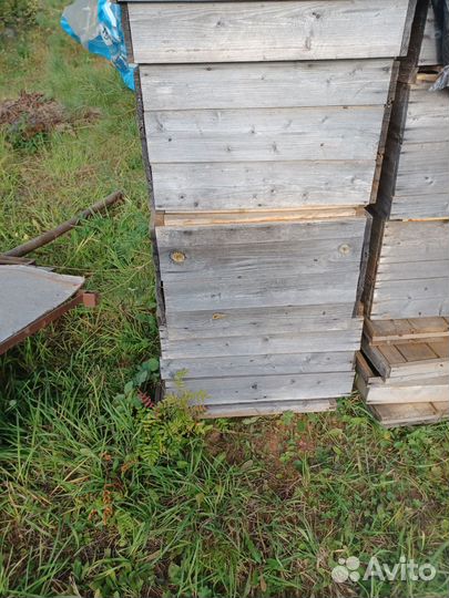 Улей с пчелиной семьей