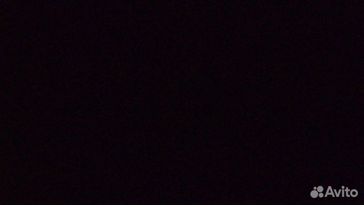 Собака в добрые руки даром