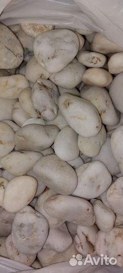 Морские камни и ракушки для аквариума 6.7 кг