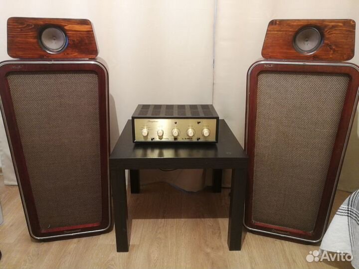 Колонки dynacord SUS/G