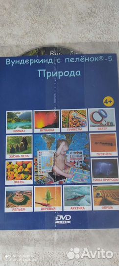 Развивающие игрушки