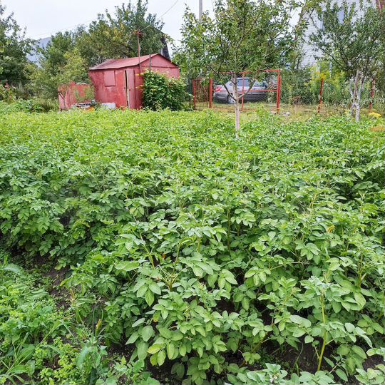 Дача 10 м² на участке 5 сот.