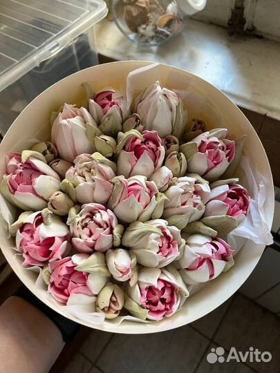 Обучение тюльпанам из зефира