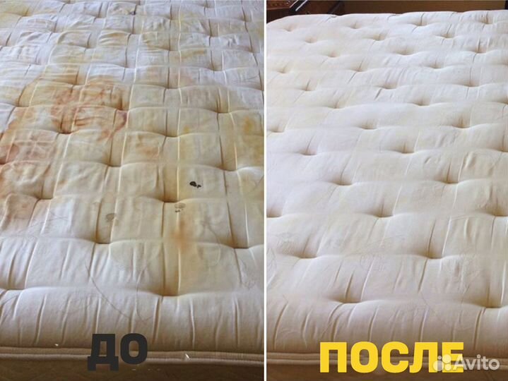 Аренда моющего пылесоса Karcher Puzzi 10/1