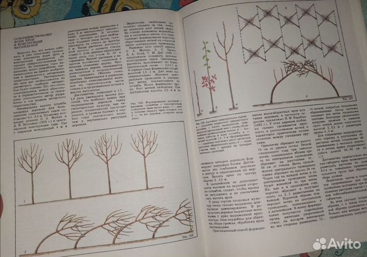 Обрезка плодовых деревьев и ягодных кустарнв книга