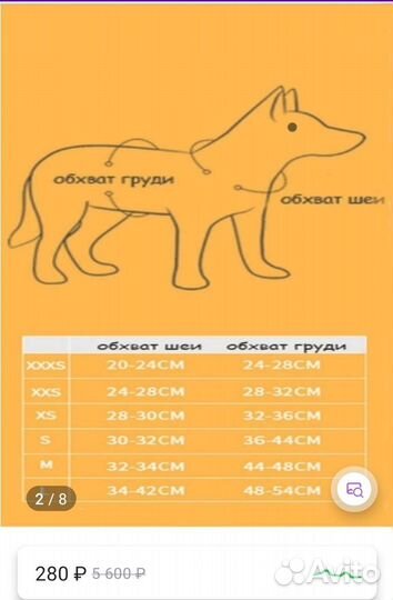 Шлейка для маленькой собаки