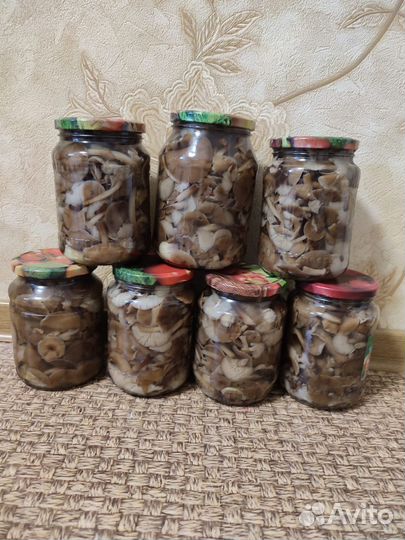 Грибы опята маринованные