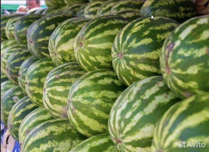 Арбузы