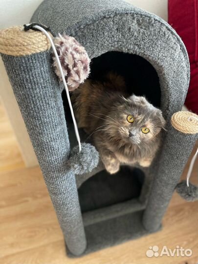 Когтеточка домик для кошки новый